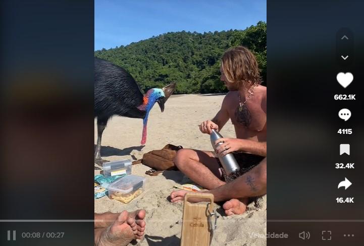 Turistas frente a frente com a ave mais perigosa do mundo, o casuar