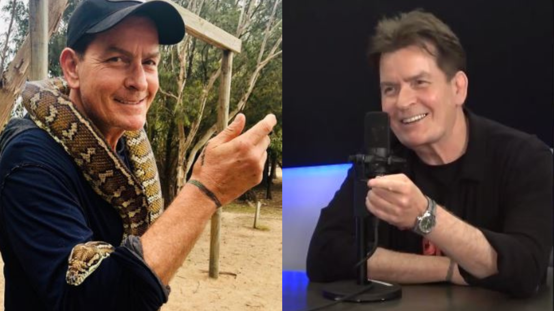 Charlie Sheen posa com cobra e dá entrevista