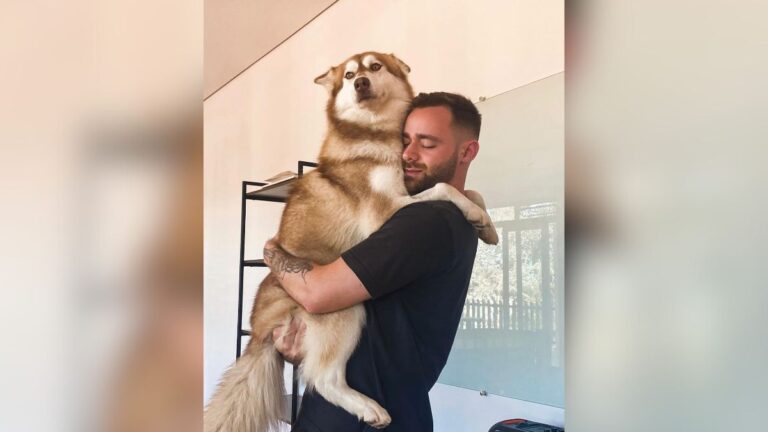 Zé Longuinho - Motivação para muitos e hit nas plataformas digitais de material exclusivo