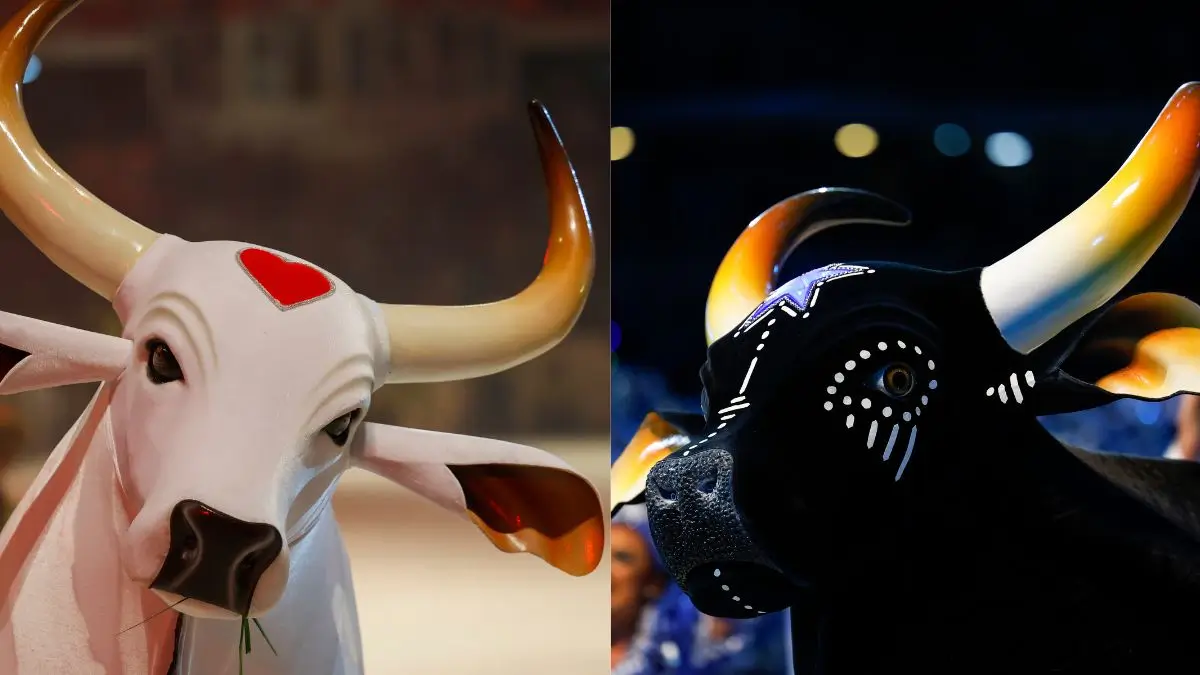 Bois Garantido e Caprichoso