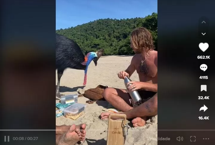 Turistas frente a frente com a ave mais perigosa do mundo, o casuar